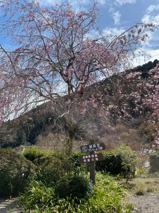 善峯寺(京都府)