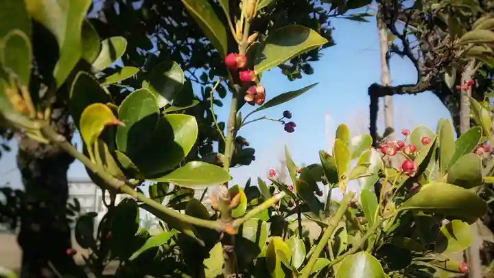 神明社(国府宮神明社)の周辺