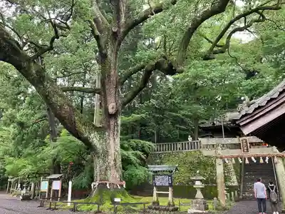 事任八幡宮(静岡県)