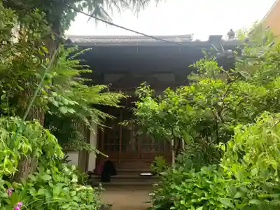 妙圓寺(千葉県)