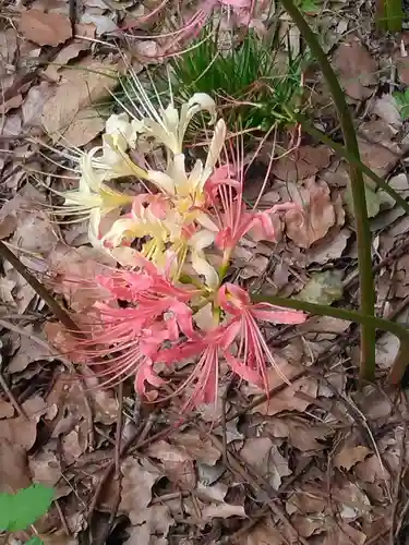横浜　西方寺(神奈川県)