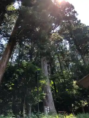 御形神社(兵庫県)