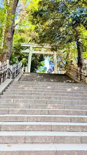 渋谷氷川神社の鳥居