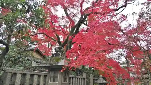 北野天満宮の庭園