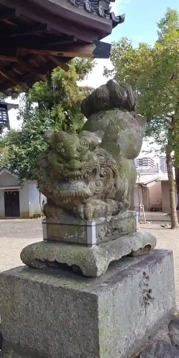 北大路御霊神社の狛犬