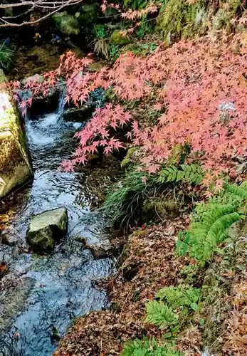 三千院門跡の自然