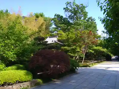 宝珠山　観泉寺の庭園