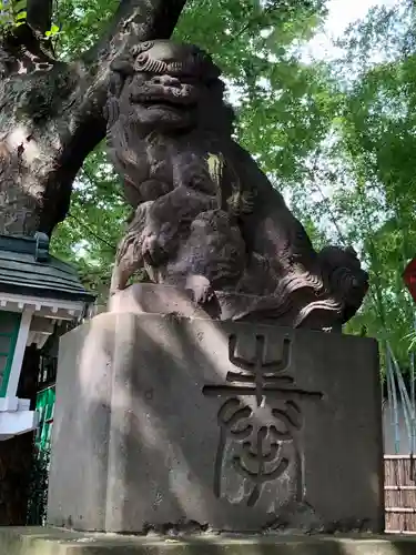 田無神社の狛犬