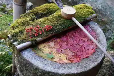 柳谷観音 楊谷寺の手水舎