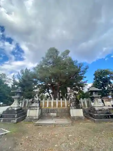 北野天満宮(京都府)