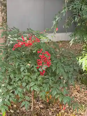 富部神社(愛知県)