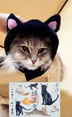 月替り 勝軍官黒猫御朱印 2月