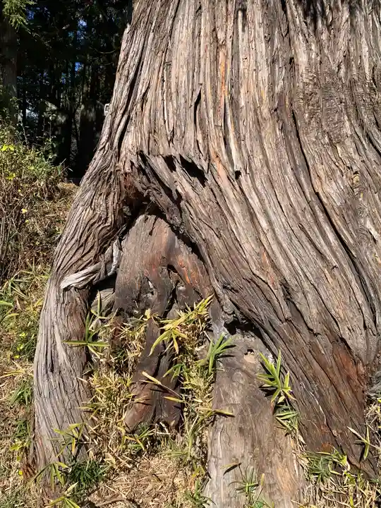 社八幡神社(福島県)