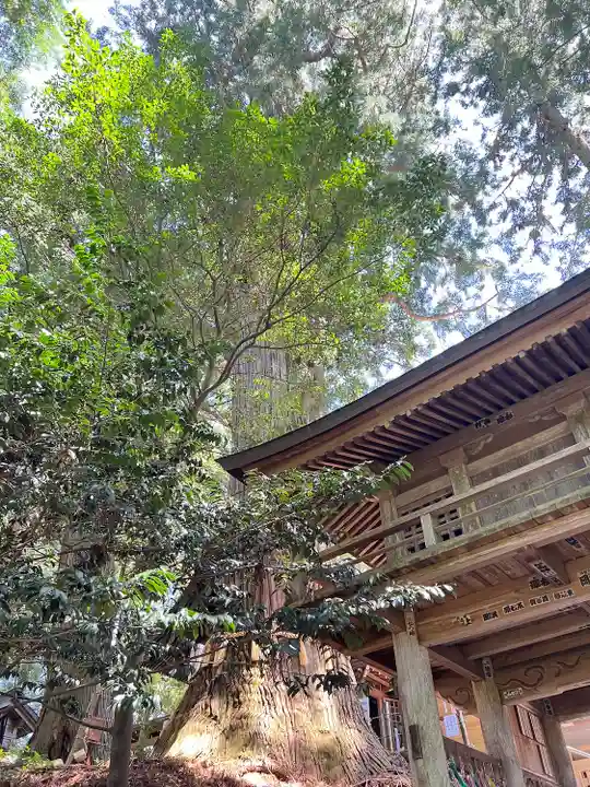 鷲子山上神社(栃木県)