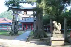 出石神社の鳥居