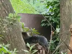 代々木八幡宮の自然