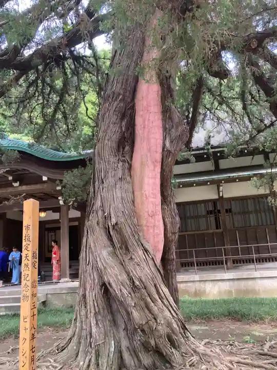 円覚寺(神奈川県)