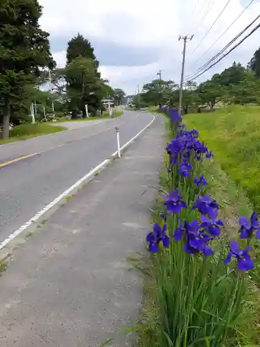高司神社〜むすびの神の鎮まる社〜の自然