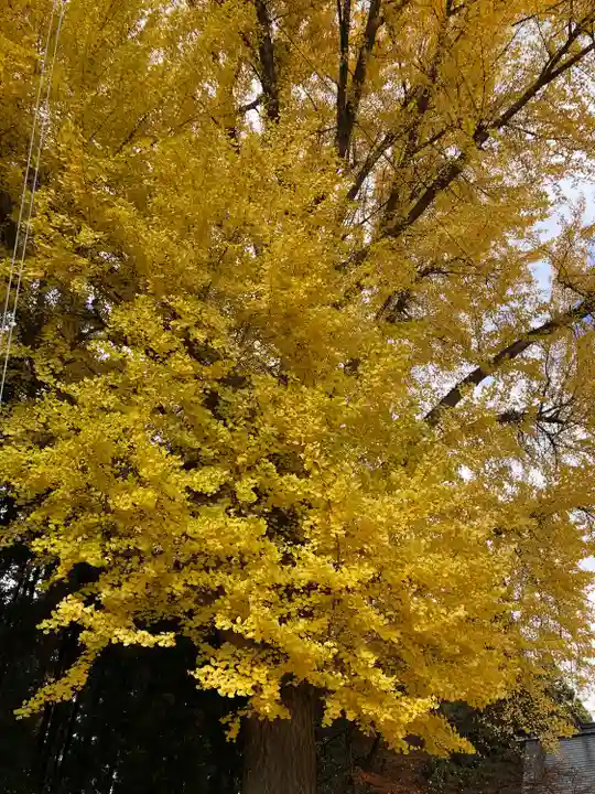 神明宮(青森県)