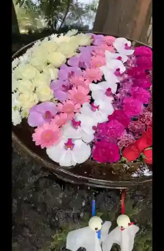 武蔵一宮氷川神社(埼玉県)