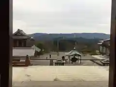 一畑山薬師寺 岡崎本堂の景色