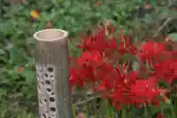 国宝 大法寺の庭園