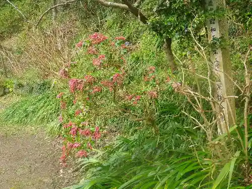 荏柄天神社の自然