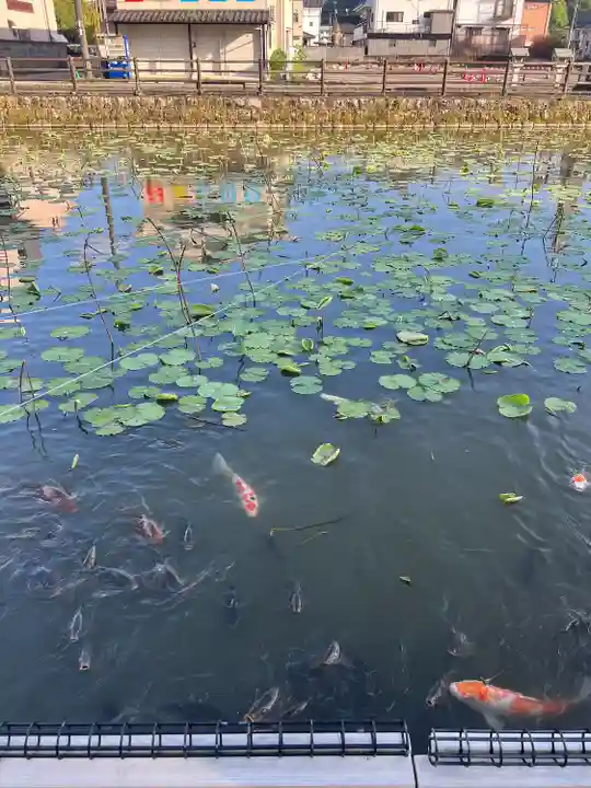 青井阿蘇神社(熊本県)
