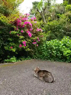 白金氷川神社(東京都)