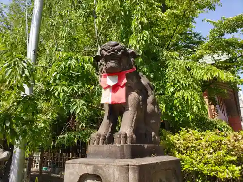 市谷亀岡八幡宮の狛犬