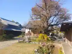 光源寺(東京都)