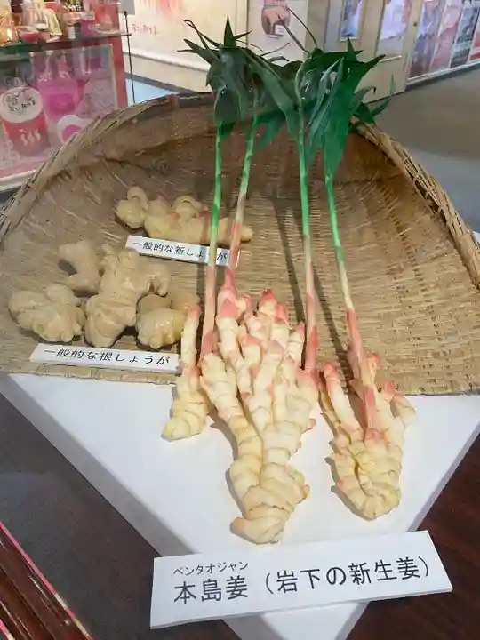 ジンジャー神社(栃木県)