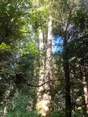 香取神宮(千葉県)