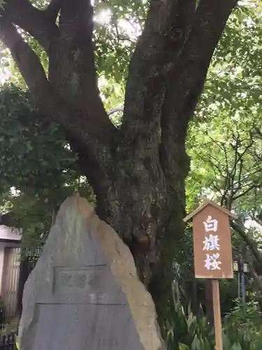 白山神社の庭園