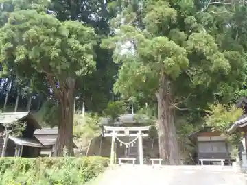 八幡神社(愛知県)