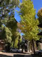 中目黒八幡神社(東京都)