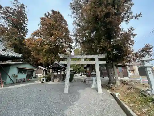 八幡神社(水口町新城)の{uncategorized: "未分類", other: "その他", undefined: "問題あり", building: "その他建物", grave: "お墓", sacred_gate: "鳥居", guardian: "狛犬", statue: "像", buddha: "仏像", history: "歴史", nature: "自然", garden: "庭園", animal: "動物", pagoda: "塔", temizu: "手水舎", mountain_gate: "山門・神門", sanctuary: "本殿・本堂", subordinate: "末社・摂社", art: "芸術", scenery: "景色", jizo: "地蔵", ema: "絵馬", goshuin: "御朱印", omikuji: "おみくじ", items: "授与品その他", amulet: "お守り", goshuincho: "御朱印帳", eats: "食事", festival: "お祭り", votive_dance: "神楽", shichigosan: "七五三参", wedding: "結婚式", experience: "体験その他", initially: "初詣", around: "周辺", anti_infection: "感染症対策"}