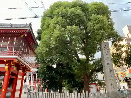 大須観音 （北野山真福寺宝生院）(愛知県)