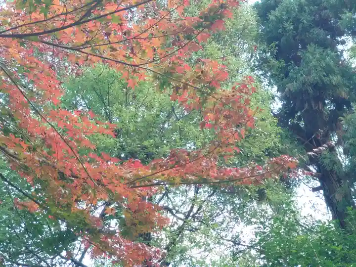 舞岡八幡宮(神奈川県)