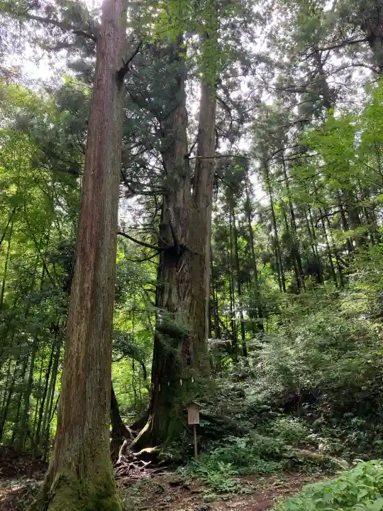 花園神社(茨城県)