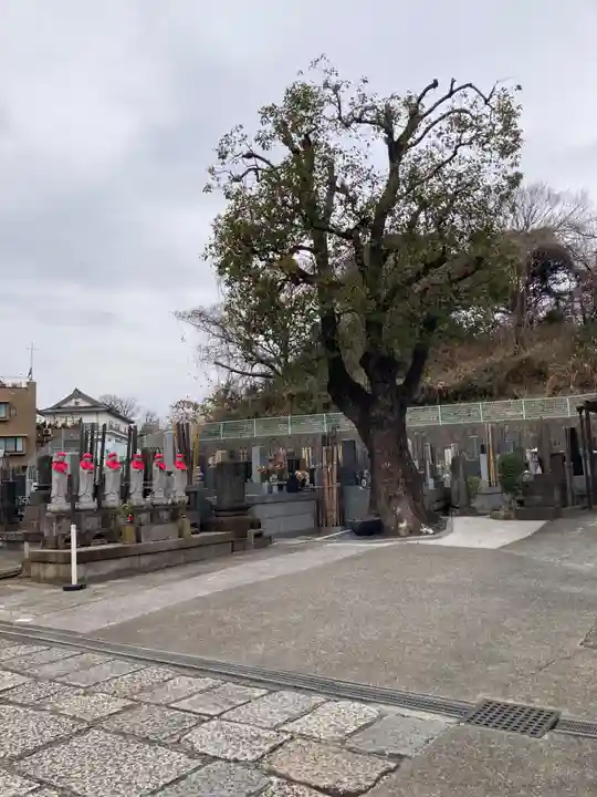普門寺(神奈川県)