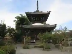 穴太寺の建物その他