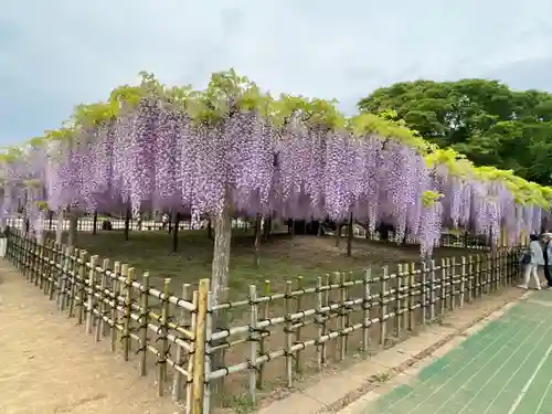 玉敷神社の庭園