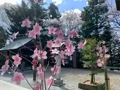 滑川神社 - 仕事と子どもの守り神のおみくじ