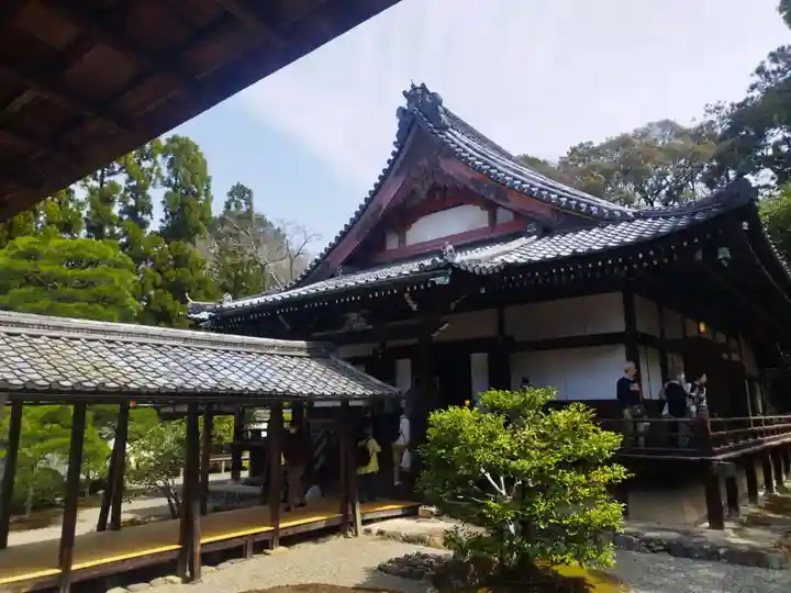 三宝院(三宝院門跡)(京都府)