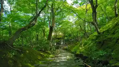 常寂光寺(京都府)