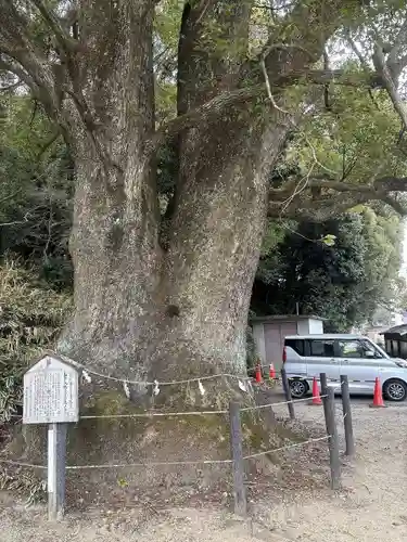 山中八幡宮(愛知県)