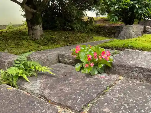 西方山極楽寺(岐阜県)