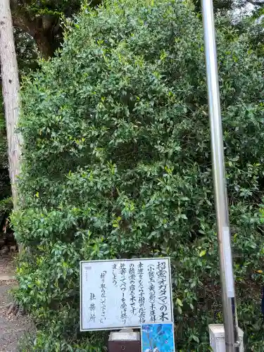 息栖神社(茨城県)