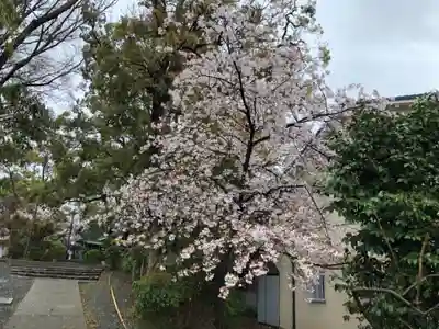 神足神社のその他建物